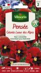 Fleurs - Pensée Géante Lueur des Alpes - PACKAGING_RECTO